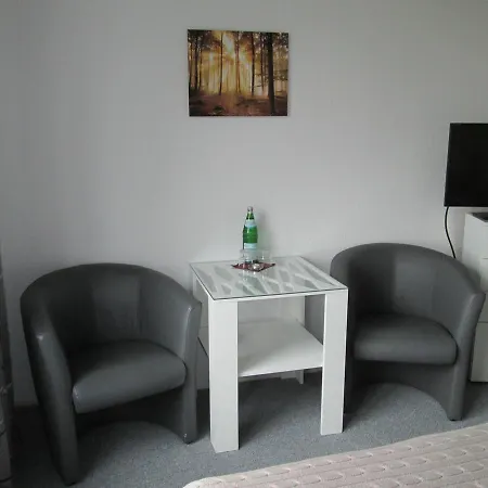 Skandinavia Πανσιόν 3*